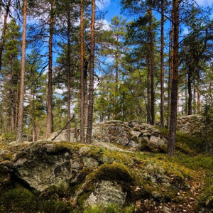 Dagsvandring på Bogesundslandet