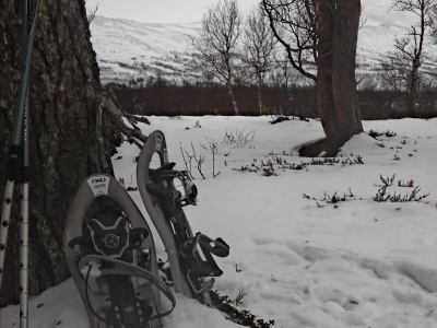 Snöskotur